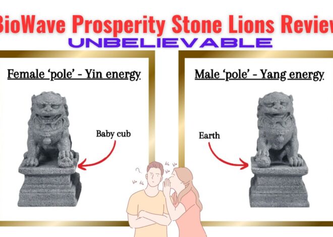 The BioWave Prosperity Stone Lions Review – Must Read!